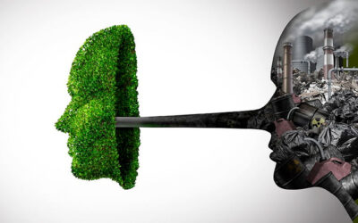 Contro il «greenwashing» la qualità delle informazioni ambientali